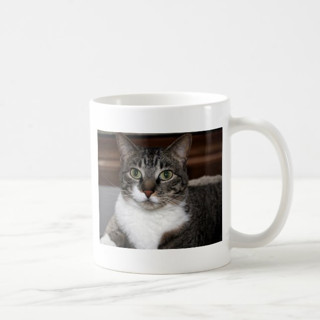 Mug Tabby Cat Vous regardez Animaux de compagnie Photo (Droite)