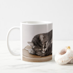 Mug Tabby Cut Gris Chat Dormir Sur Boîte
