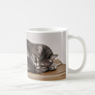 Mug Tabby Cut Gris Chat Dormir Sur Boîte