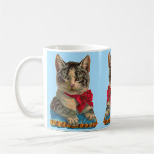 Mug Tabby de Victoria