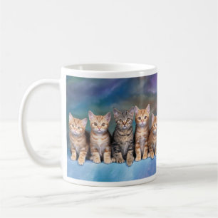 Mug Tabby Kittens dans une rangée