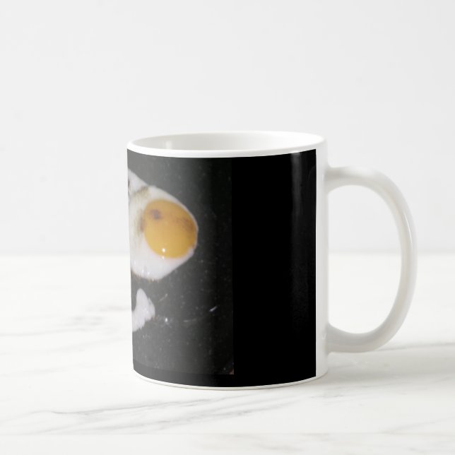 Mug Tai Chi Yin Yang (Droite)