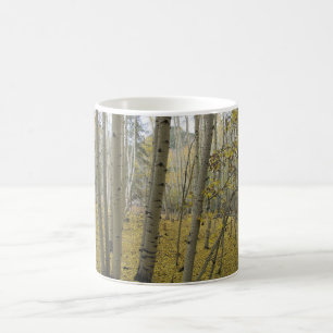 Mug Tapis d'or sous un verger du tremblement Aspen