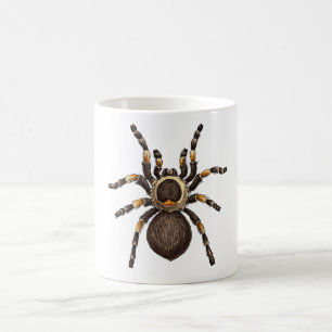 Mug Tarantula