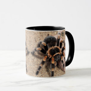 Mug Tarantula au genou rouge mexicain
