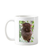 Tarsier philippin