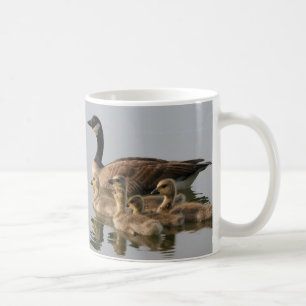 Mug Tasse/peu de couvée d'oie du Canada
