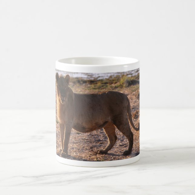 Mug Tau, Lion, Photo (Centre)