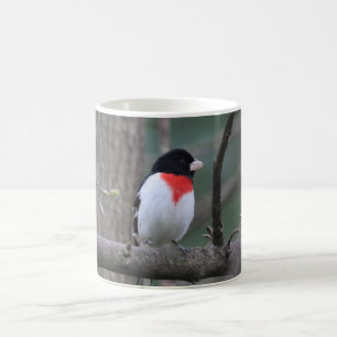 Mug Taupe de Grosbeak