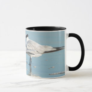 Mug Terns