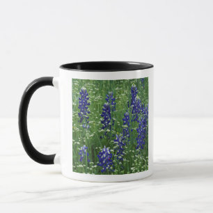 Mug Texas, lac Buchanan. Bleuet du Texas et sauvage