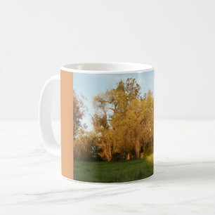 Mug Thousand Oaks Park à San Jose, Californie