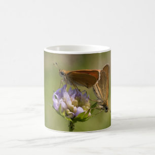 Mug Thymelicus lineola