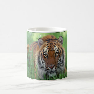 Mug Tigre