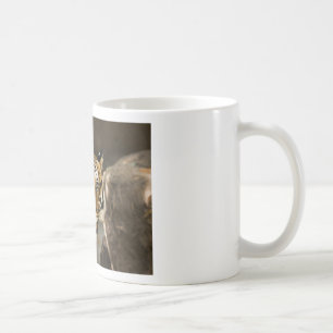 Mug Tigre de Sibérie