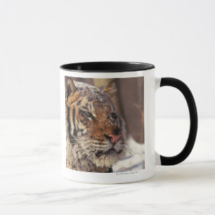 Mug Tigre sibérien
