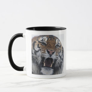 Mug Tigre sibérien grondant