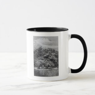 Mug Tombe de Charles Waterton