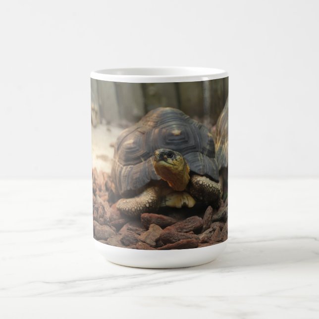 Mug Tortue de terre (Centre)