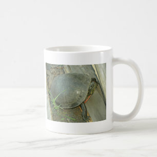 Mug Tortue peinte (Chrysemys picta)