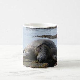 Mug Tortue se reposant sur les roches