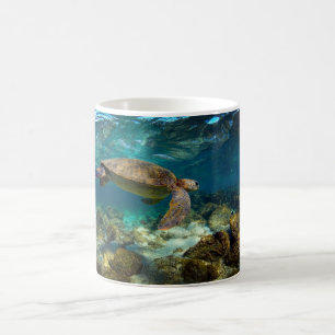 Mug Tortue verte sous l'eau des îles Galapagos