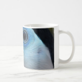 Mug Toucan