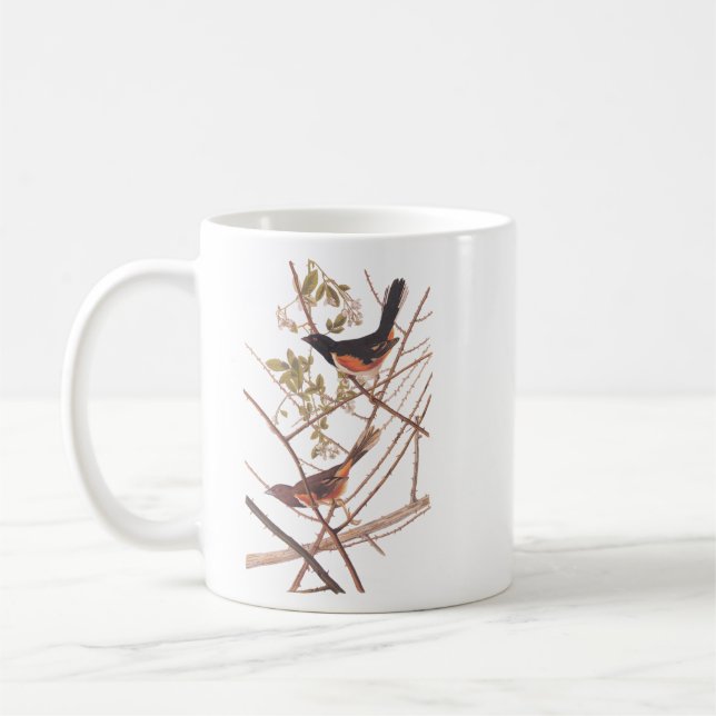 Mug Towee Bunting Audubon Black and Orange Song Birds (Gauche)