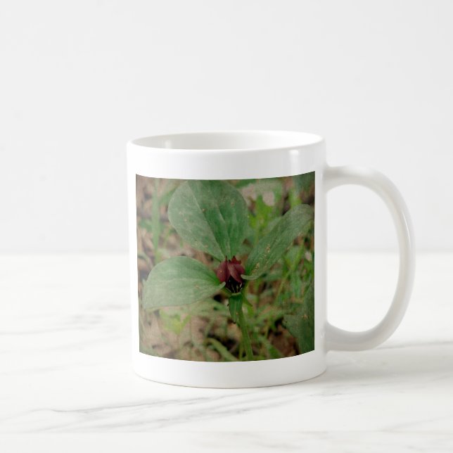Mug Trillium Flower (Droite)