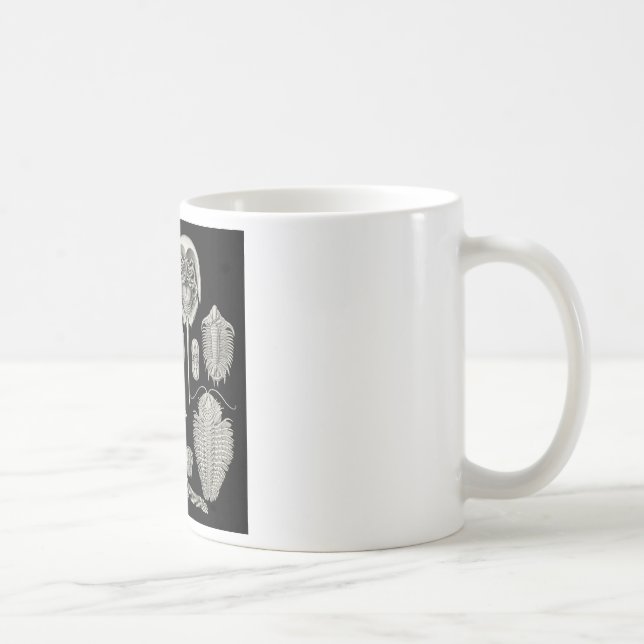 Mug Trilobite ! (Droite)