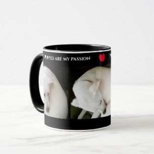 Mug Trois belles photos d'un beau chien blanc noir