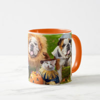 Trois Bulldogs en costumes