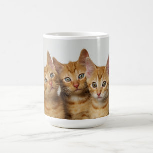 Mug Trois chatons mignons de gingembre côte à côte
