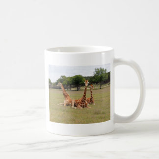 Mug Trois girafe à Fossil Rim