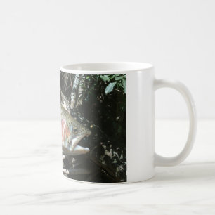 Mug Truite arc-en-ciel
