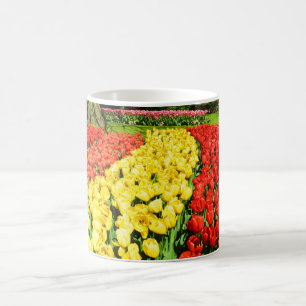 Mug Tulipes au soleil en Hollande