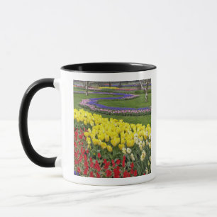 Mug Tulipes, Hyacinthe de raisin et Daffodils,