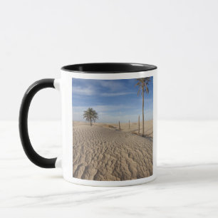 Mug Tunisie, désert du Sahara, Douz, Grande Dune, aube