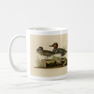 Mug Turquoise d'ailée verte américaine d'Audubon