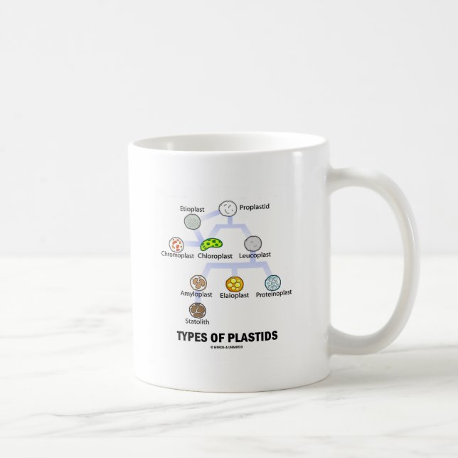 Mug Types de Plastids (Droite)