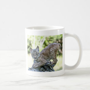 Mug Un chaton espiègle de Lynx de Canadien