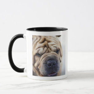 Mug Un chien, plan rapproché