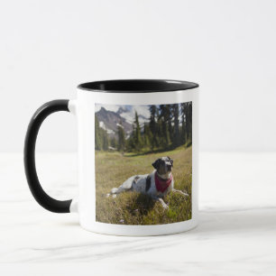 Mug Un chien se repose après avoir augmenté au parc 