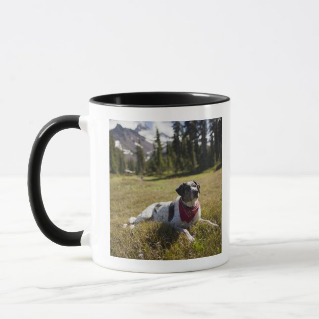 Mug Un chien se repose après avoir augmenté au parc de (Gauche)