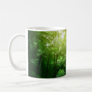 Mug Un couvert d'arbres illuminé dans la jungle tropic