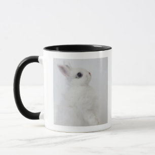 Mug Un lapin blanc. Le Jersey Wooly.