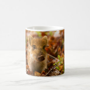 Mug Un Sus Scrofa de porcelet de sanglier dans le