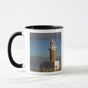 Mug Uruguay, département de Montevideo, Montevideo. 3