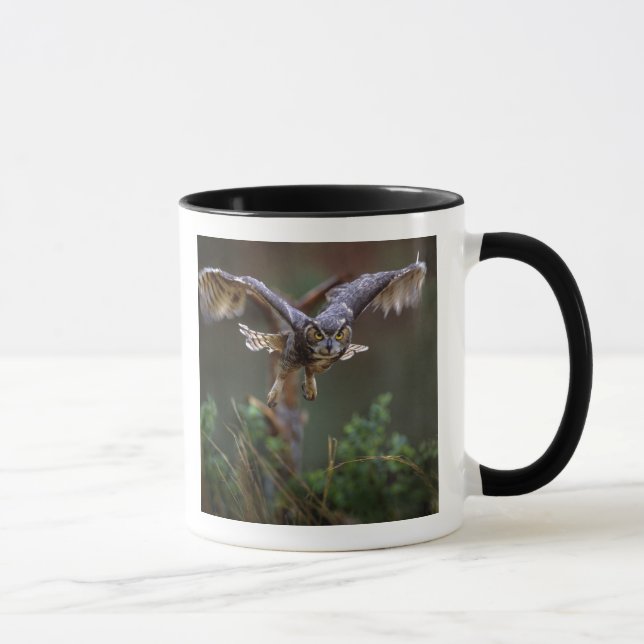 Mug USA, Géorgie, Pine Mountain, Callaway Gardens. (Droite)