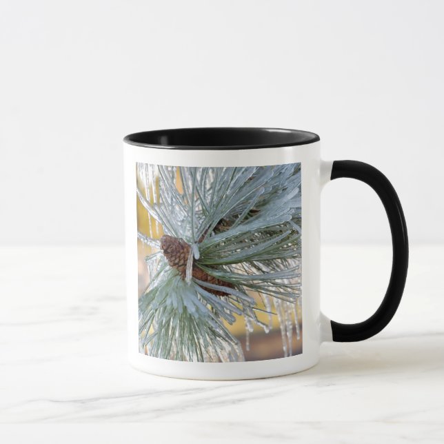 Mug USA, Oregon, Bend. Les aiguilles de pin de Pondero (Droite)